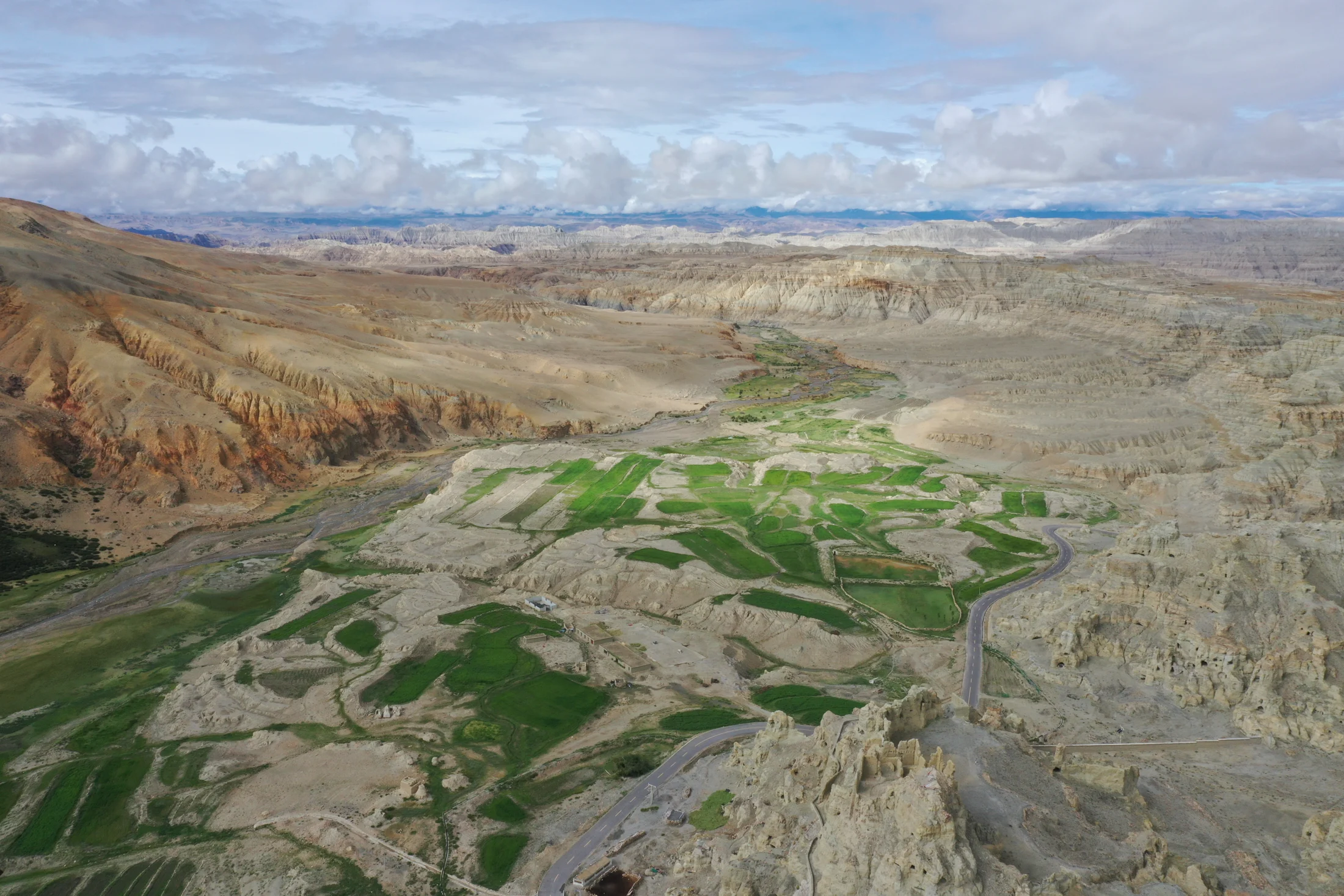 Green threads through an arid landscape